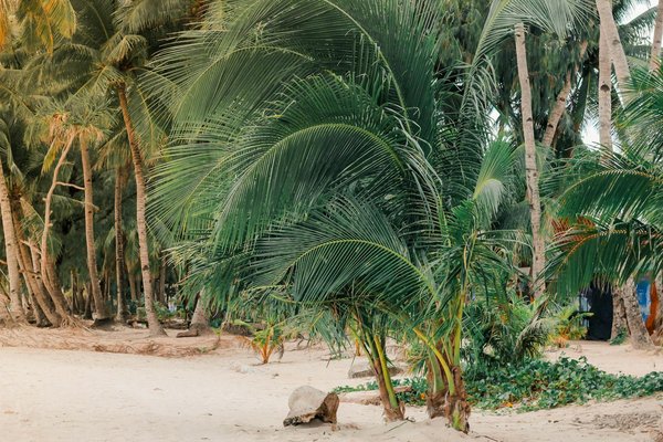 Quels sont les avantages de louer une villa en Grèce avec des excursions archéologiques et des cours de cuisine méditerranéenne?